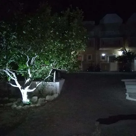 Denise Кефалос